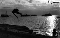7445-04-Zanzibar-2002